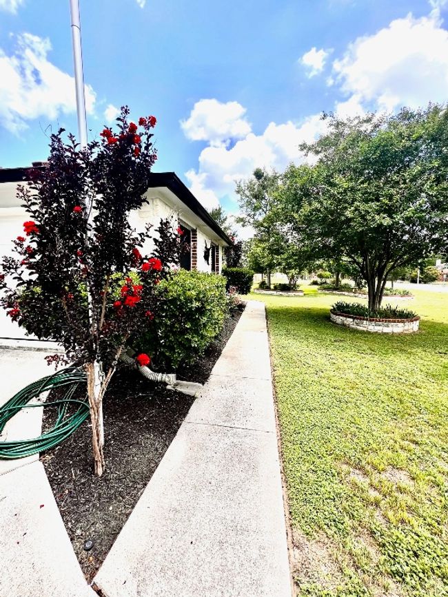 View of property exterior featuring a yard | Image 6