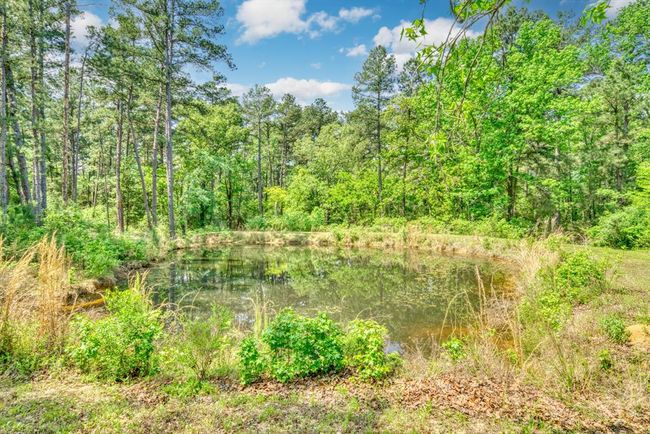 6733 Fm 1511, Home with 2 bedrooms, 2 bathrooms and null parking in Centerville TX | Image 31