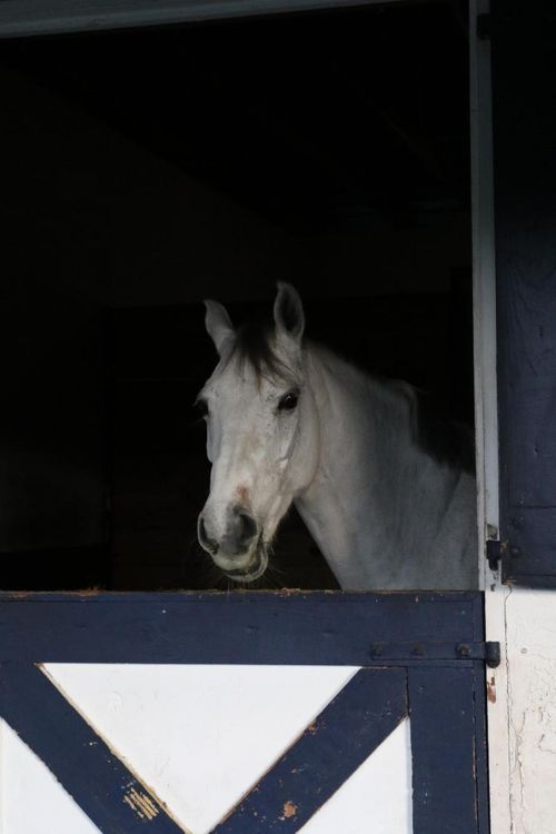 1634 Trotter Ct, Wellington, FL, 33414-1022 | Card Image