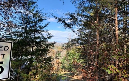 25 Mountain Knoll Ln, Warne, NC, 28909-0070 | Card Image