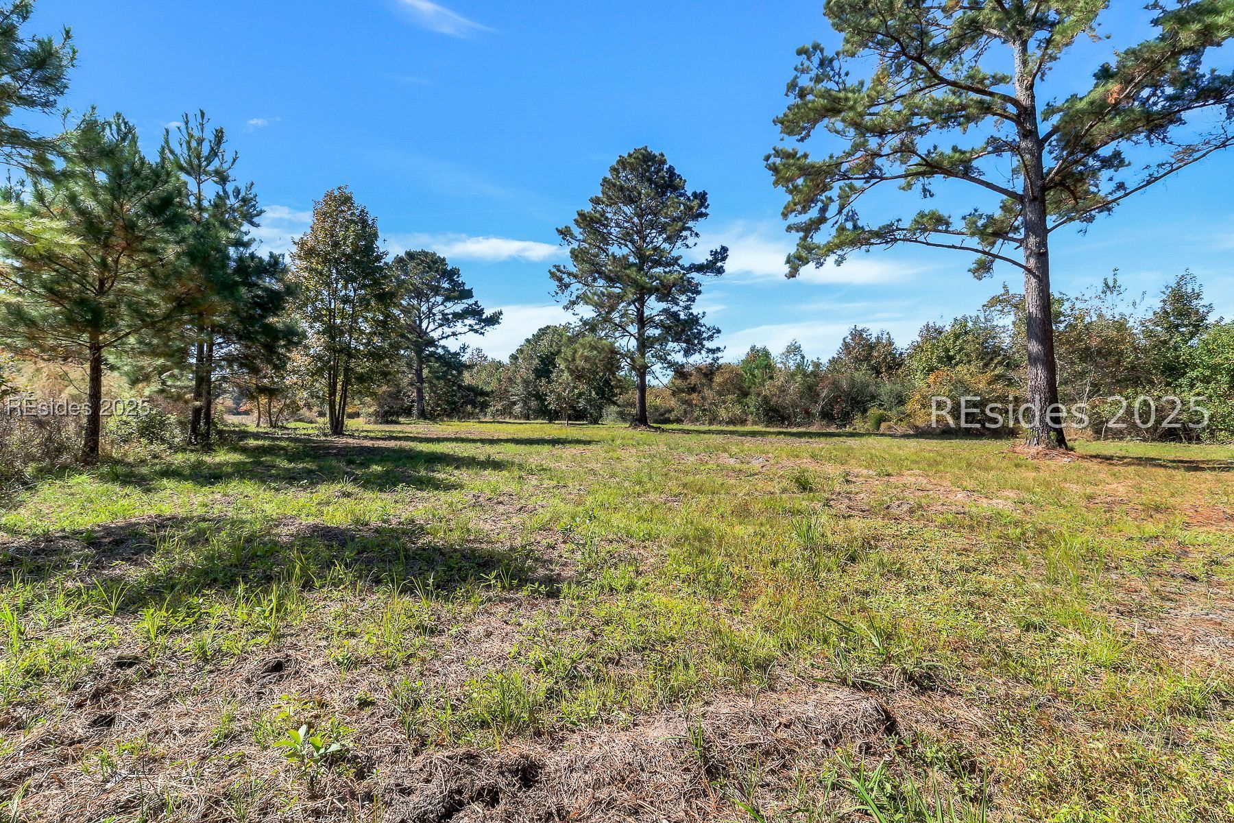 Land in Ridgeland 3