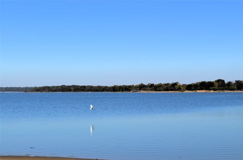 1540 Shoreline Dr, Kemp, TX, 75143-4413 | Card Image
