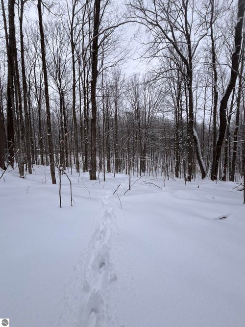 VL 22 Lake Louise Road, Interlochen, MI, 49643 | Card Image