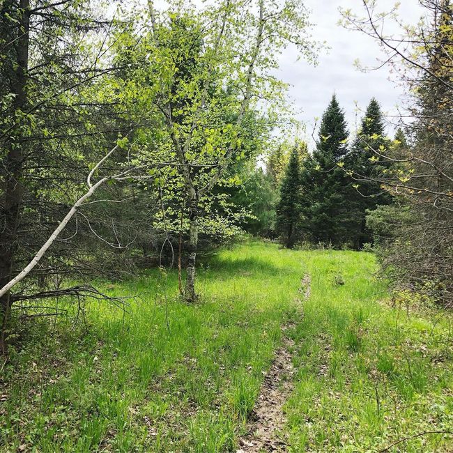 Trails | Image 5