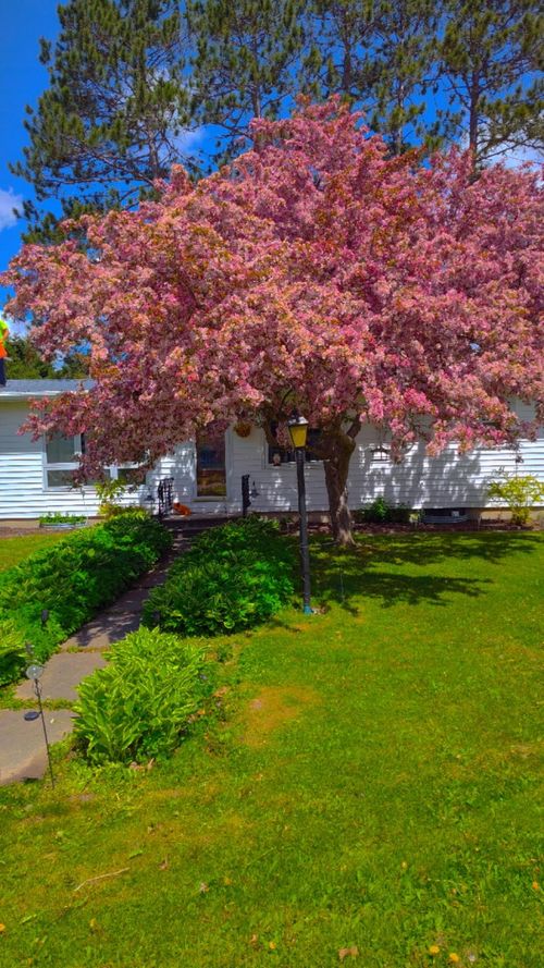 501 E Grant St, Crandon, WI, 54520-1673 | Card Image