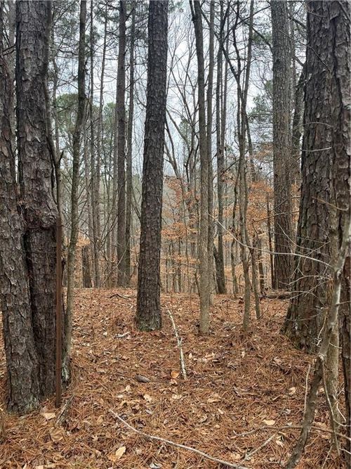 3 Lake Esther Dr, Fairburn, GA, 30213 | Card Image