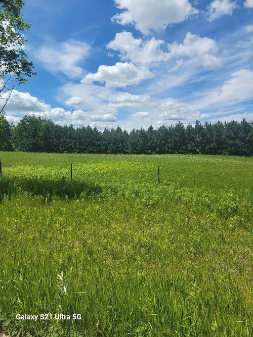 145th 145th, Eagle Bend, MN, 56446 | Card Image