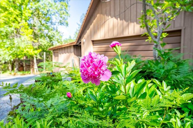 7250 Mount Oak Ln, House other with 2 bedrooms, 2 bathrooms and null parking in Georgetown CA | Image 75