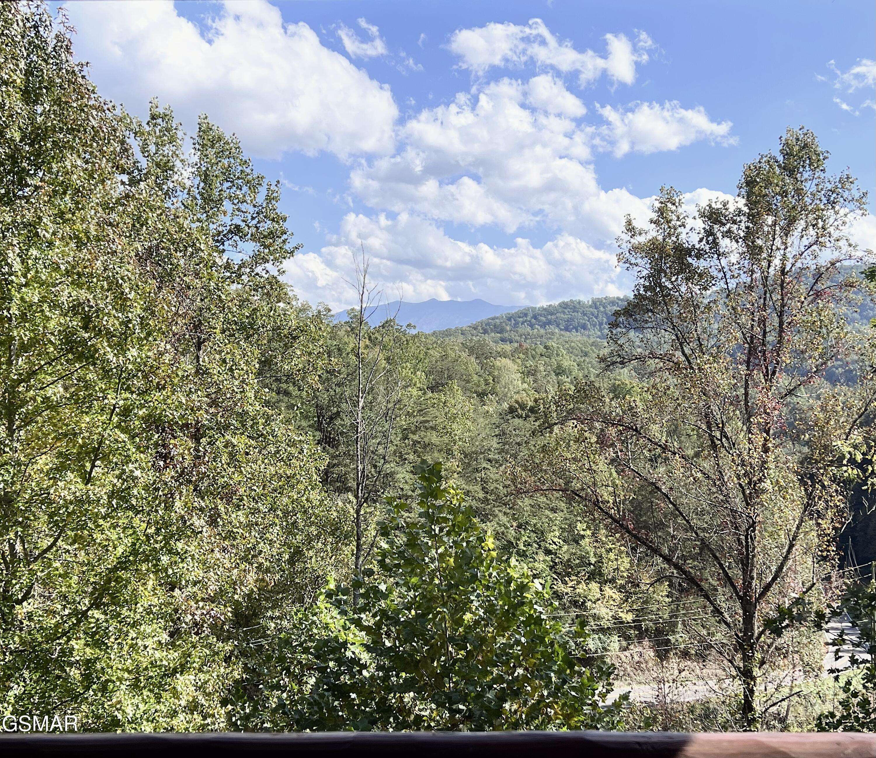 Residential in Pigeon Forge 2