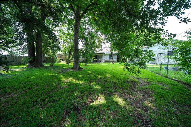 Backyard | Image 17