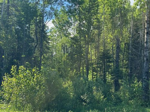 1576 County Road 8, Holyoke, MN, 55749 | Card Image