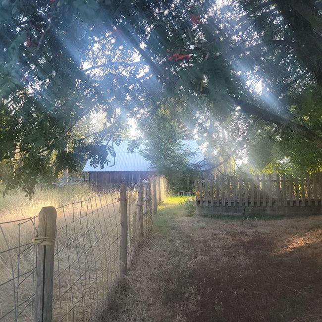 16682 Highway 31, House other with 3 bedrooms, 3 bathrooms and null parking in Metaline Falls WA | Image 35