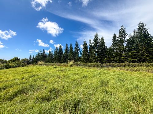 93-5509 Kai Makani Pl, NAALEHU, HI, 96772 | Card Image