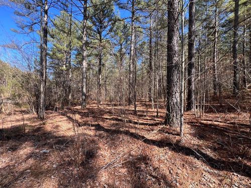 Lot 50 Deyton Dr, Blairsville, GA, 30512-2755 | Card Image