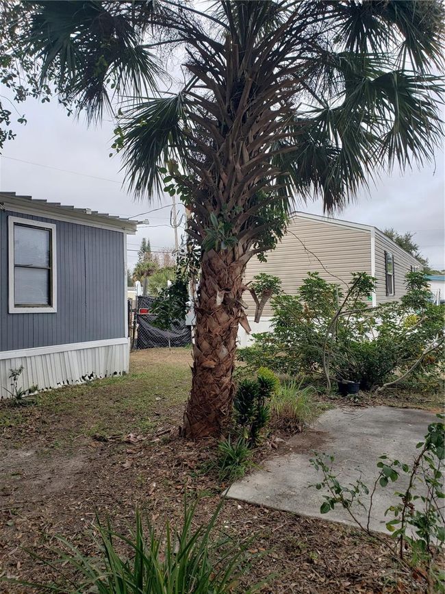6997 Chestnut Dr, House other with 3 bedrooms, 2 bathrooms and null parking in Cocoa FL | Image 48
