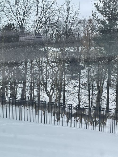 4228 Park View Dr, Janesville, WI, 53546-2146 | Card Image