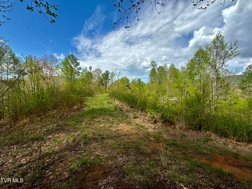 19 Edith Gouge Rd, Unicoi, TN, 37692 | Card Image