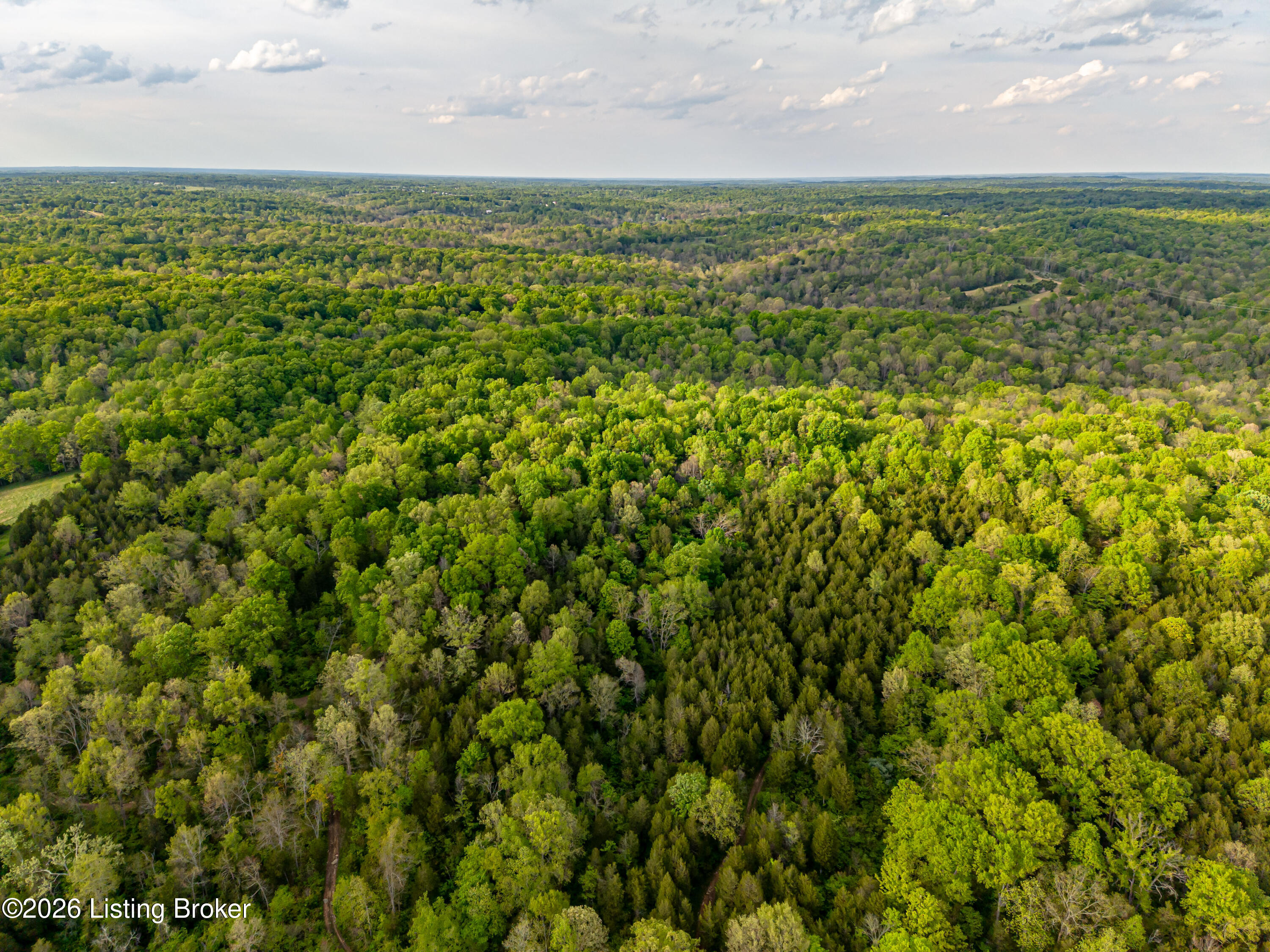 Land in Frankfort 3