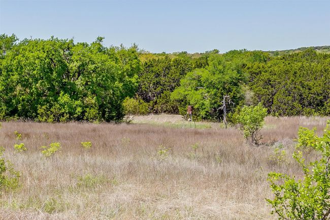 View of landscape featuring a forest view | Image 18