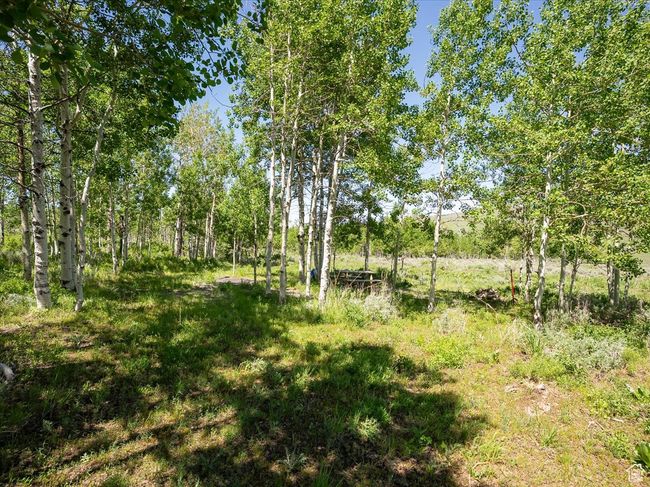 RV/Camp Area in Aspen Grove | Image 24