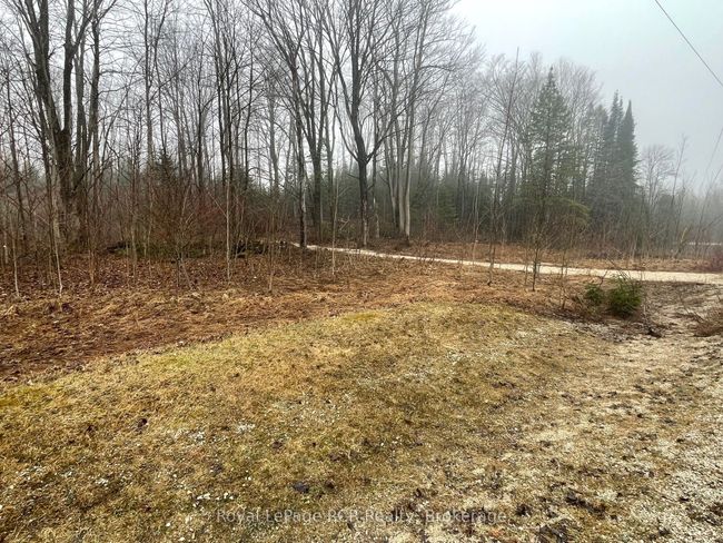 LT 35 Highland Dr, Home with 0 bedrooms, 0 bathrooms and null parking in Markdale ON | Image 17
