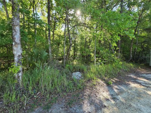 0000 Se 42nd Ct, BELLEVIEW, FL, 34420 | Card Image