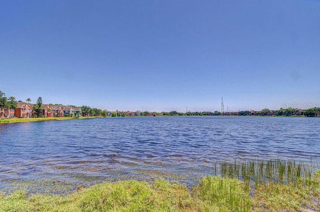 View across the Lake | Image 8