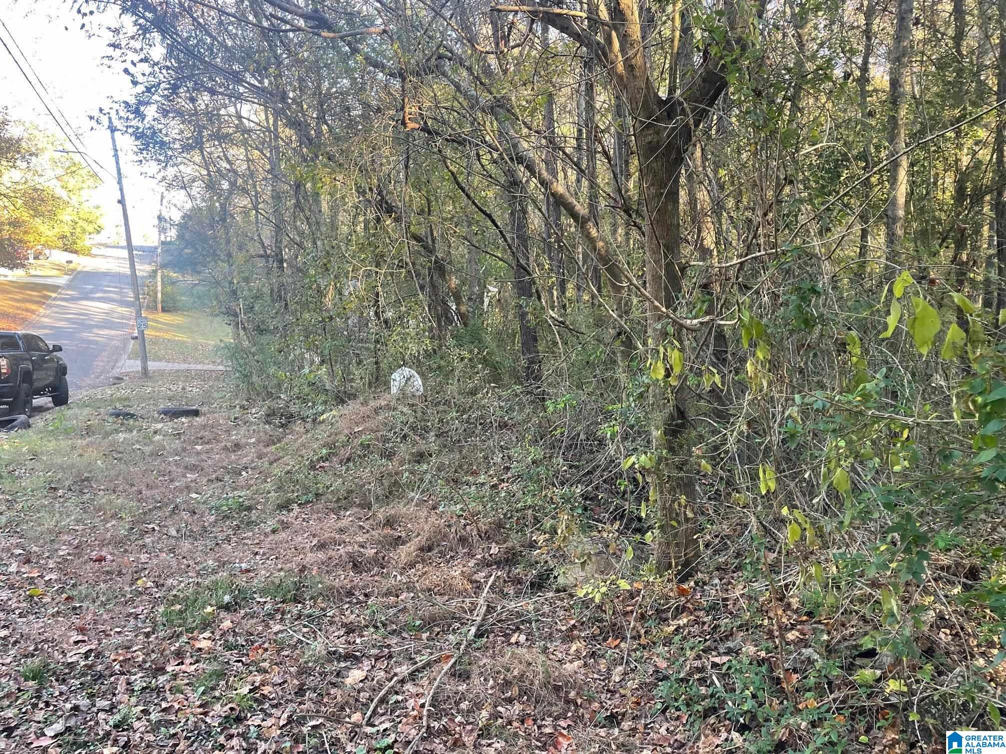 Land in GARDENDALE 2