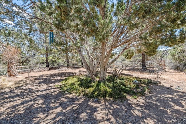 Yard | Image 31