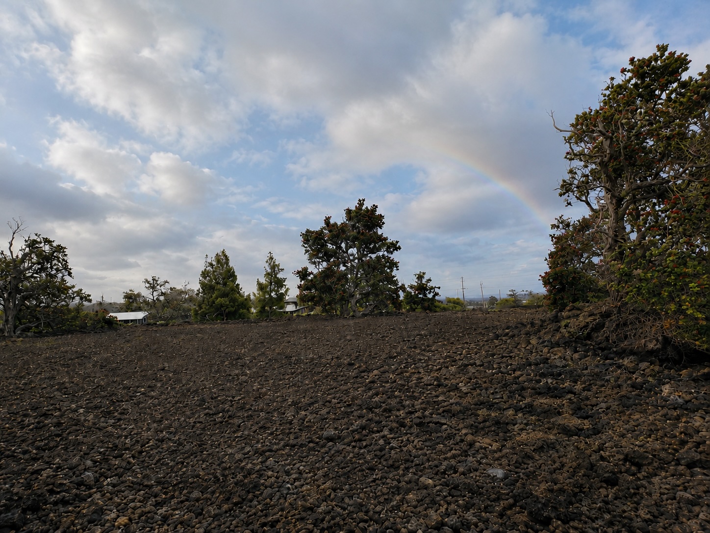 Land in Ocean View 3