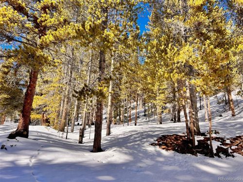 00 Ute Creek Rd, Idaho Springs, CO, 80452 | Card Image