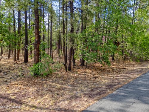 7202 Tall Pine Dr, Pinetop, AZ, 85935-9073 | Card Image