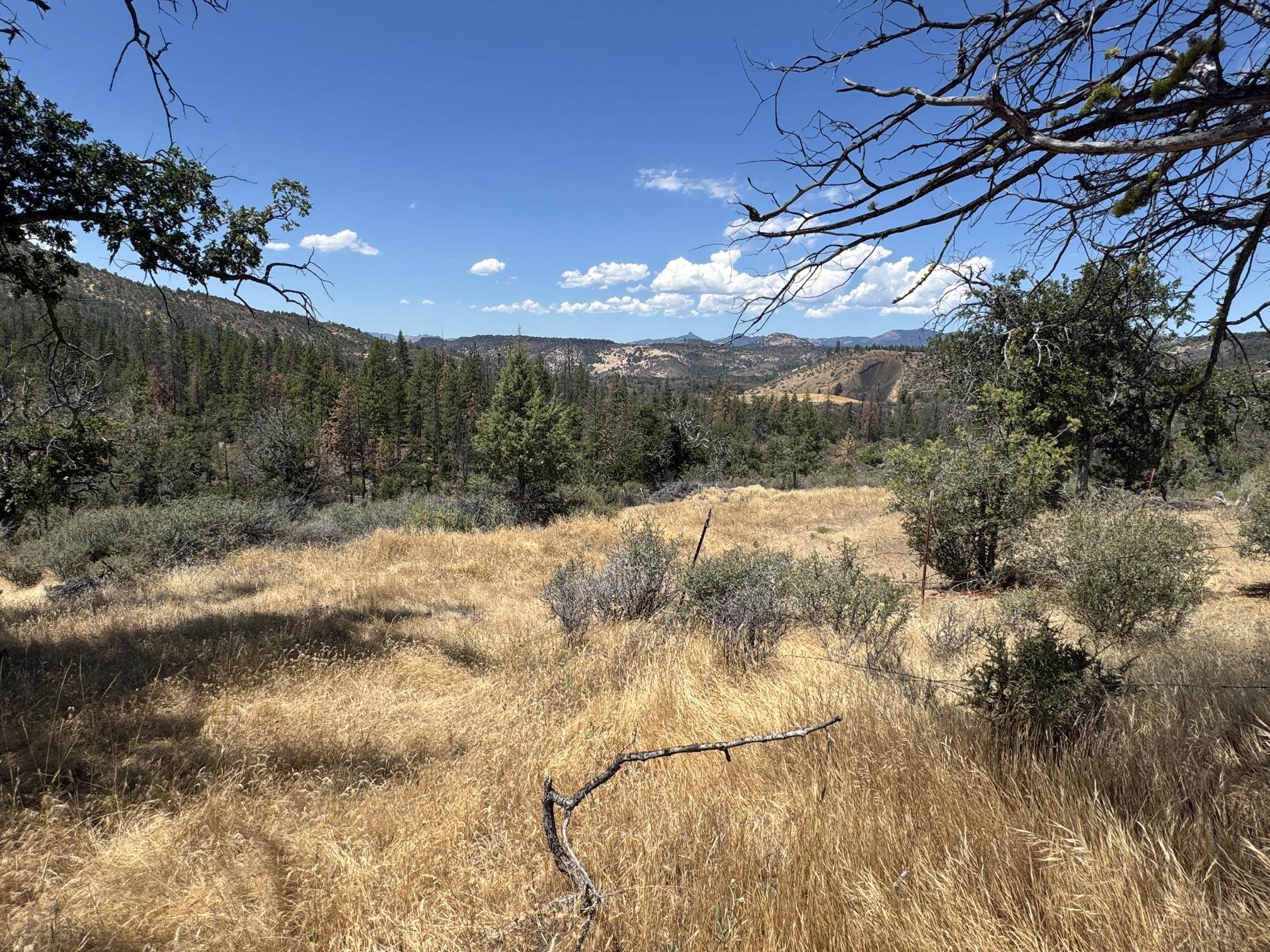 Land in Montague 4