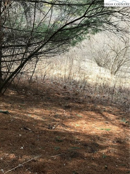 TBD Deer Path Rd, Crumpler, NC, 28617 | Card Image