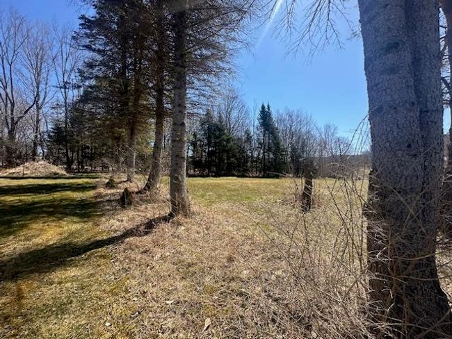 489 Poker Hill Rd, Home with 0 bedrooms, 0 bathrooms and null parking in Underhill VT | Image 8