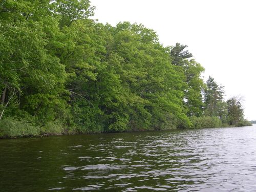 1573 Edgewater Ridge, Traverse City, MI, 49684 | Card Image