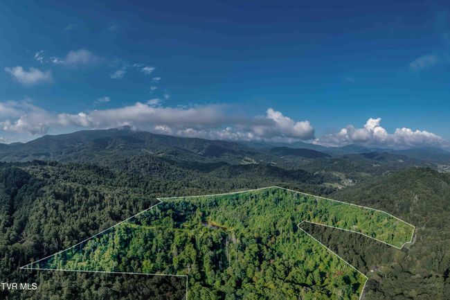 306 Bear Branch Rd, Home with 0 bedrooms, 0 bathrooms and null parking in Roan Mountain TN | Image 7