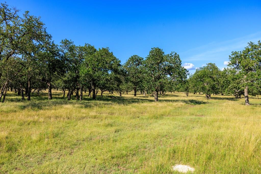 Land in Fredericksburg