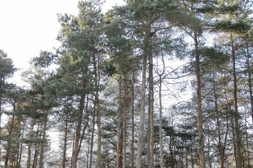 C Garfield Rd, Kingsley, MI, 49649 | Card Image