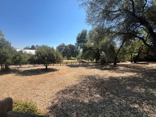 285 Smith Flat Rd, Angels Camp, CA, 95222-9778 | Card Image