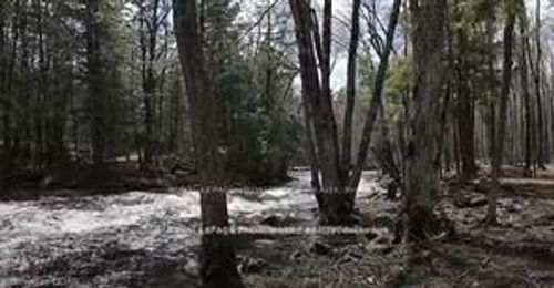 LOT 4 Future Lane S, Stirling Rawdon, ON, K0K2M0 | Card Image