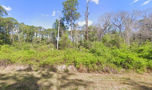 204 Hazel Avenue, Georgetown, FL, 32139 | Card Image