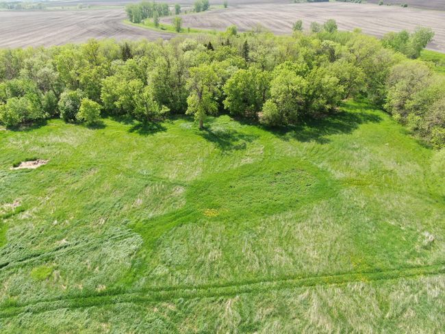DJI_0286.JPG | Image 23