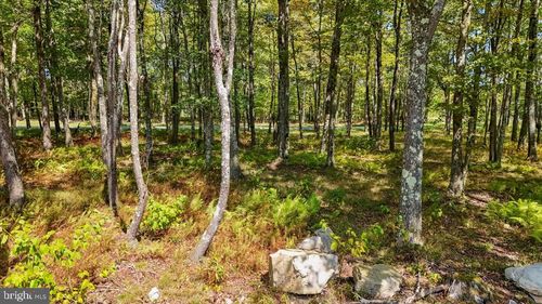 Lot 20 Green Jacket Ct, MC HENRY, MD, 21541 | Card Image