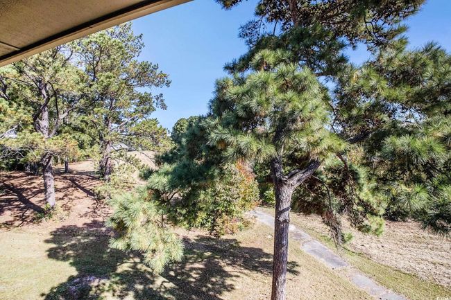 View of local wilderness | Image 24