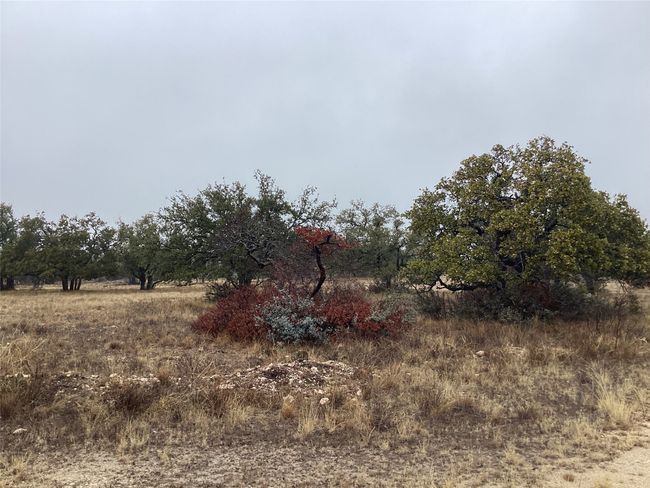 View of landscape featuring a rural view | Image 8