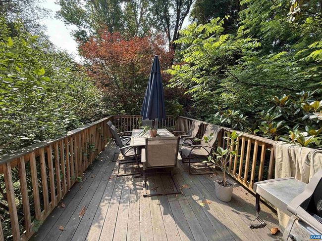 726 Cargil Ln, House other with 3 bedrooms, 2 bathrooms and null parking in CHARLOTTESVILLE VA | Image 27