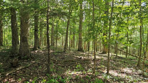 TBD Upper Doe Bag Road, Green Mountain, NC, 28740 | Card Image