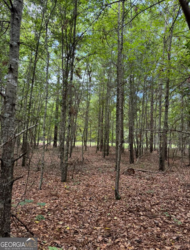 0 Tobias Rd, Home with 0 bedrooms, 0 bathrooms and null parking in Sardis GA | Image 19