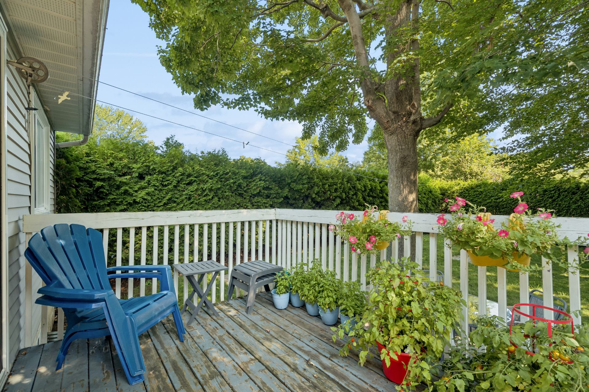 Residential in Sainte-Marie-Madeleine 5